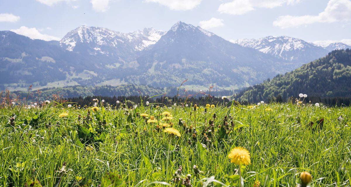 Entschleunigung im Allgäu