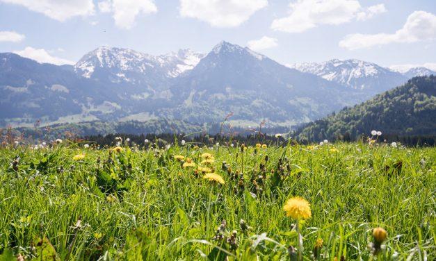 Entschleunigung im Allgäu